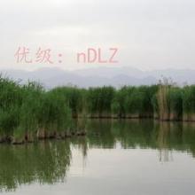 Ŀ