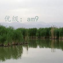 Ŀ