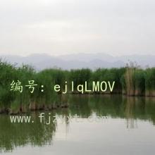 ļ