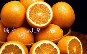 ģ