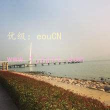 ˫