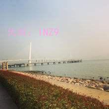 ɹ