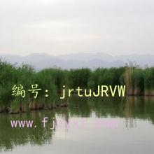ĺ֮