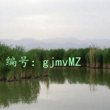 ͨ