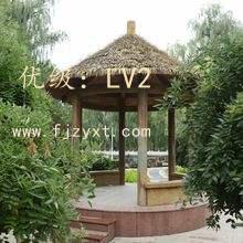 ζ