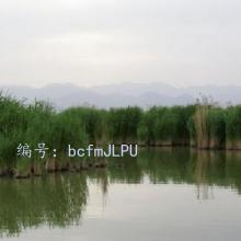 ļ