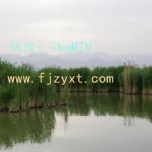 ĺ֮